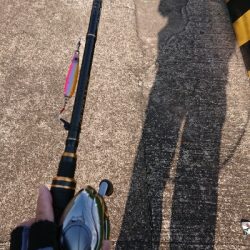 停泊船 バラシ過ぎです