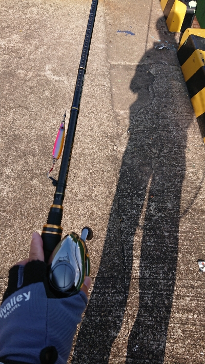 停泊船 バラシ過ぎです