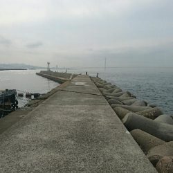 なぜかコブダイ