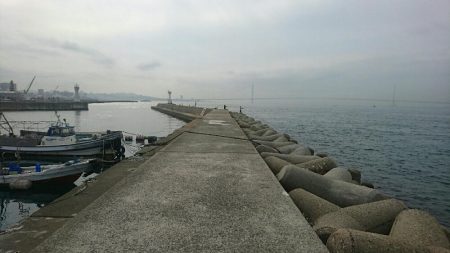 なぜかコブダイ