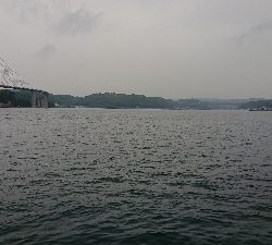 君じゃないよ・・・