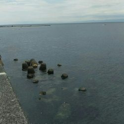梅雨の合間の釣行