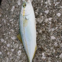 どこいっても。