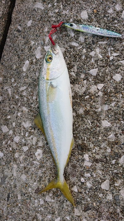 どこいっても。