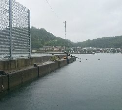 雨の弱まった時に