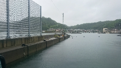 雨の弱まった時に