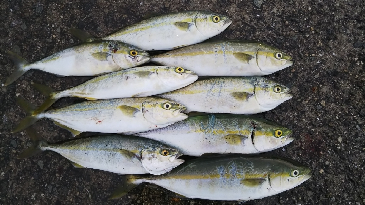 ツバス祭継続中‼࿠…