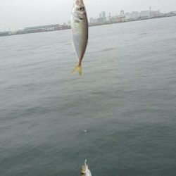 ツバスいるやん