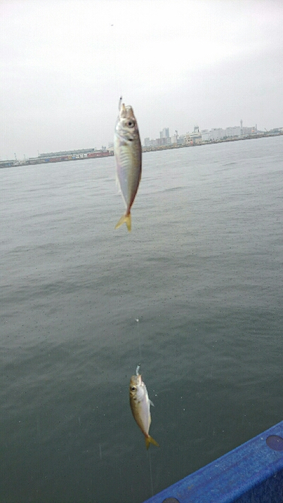 ツバスいるやん