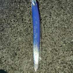 釣り部 釣行記 32