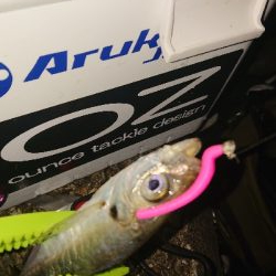 楽しみになってきました