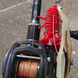 昼練オクトパッシング！