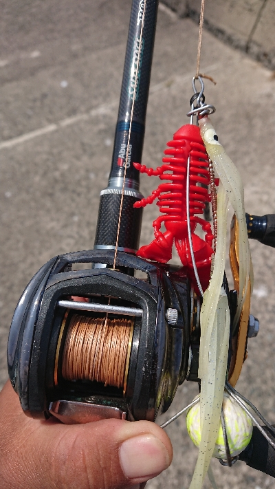 昼練オクトパッシング！