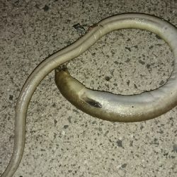 キス釣り…砂入れで不発に(>_<)