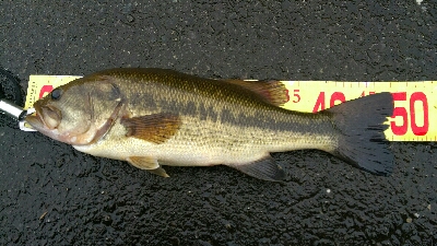 仕事帰りの寄り道