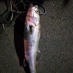 リアクションで一本だけ