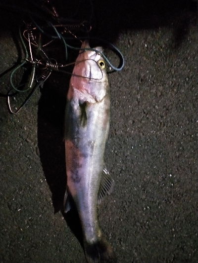 リアクションで一本だけ