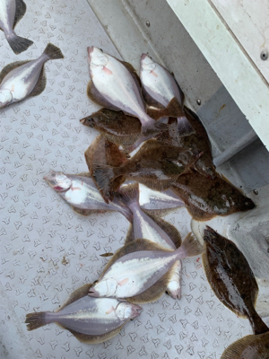 ソウハチカレイシーズンイン！