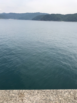 口を使わせられない