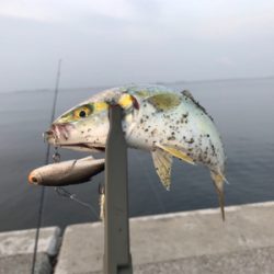 ツバスのお祭り騒ぎ！