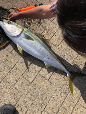 ショアジギング