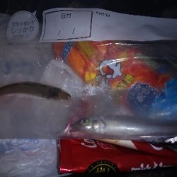 エサを沢山用意してきたものの…