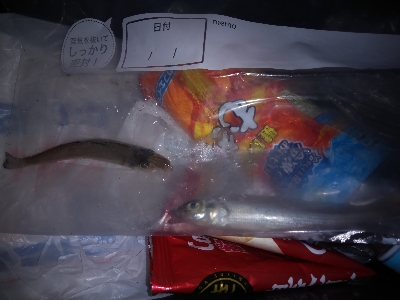 エサを沢山用意してきたものの…