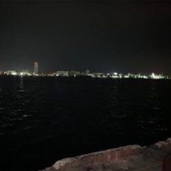 バチ抜けシーバス