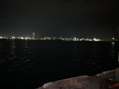 バチ抜けシーバス