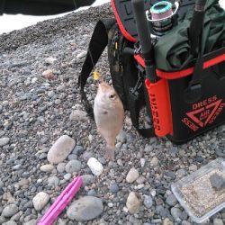 キスを求めて二日目