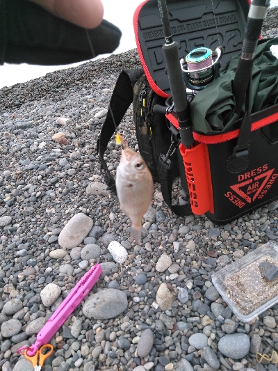 キスを求めて二日目