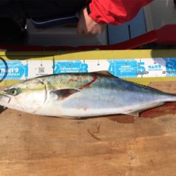 丹後沖、マイボートでタイラバ釣行