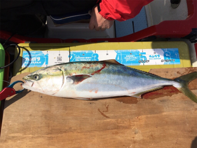 丹後沖、マイボートでタイラバ釣行