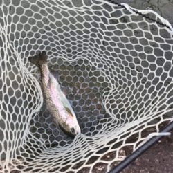 アウトドアビレッジ発光路の森フィッシングエリア