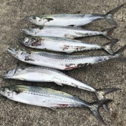 疲れた身体に鞭打って