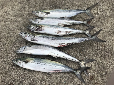 疲れた身体に鞭打って