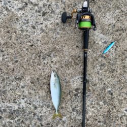 なんやかんや釣れた！！！！