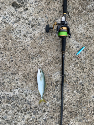 なんやかんや釣れた！！！！