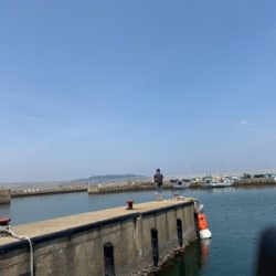 アベレージサイズシーバス！！