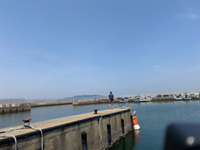 アベレージサイズシーバス！！