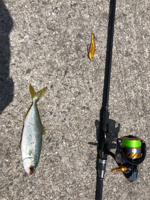 ツバス祭り 無限に当たる