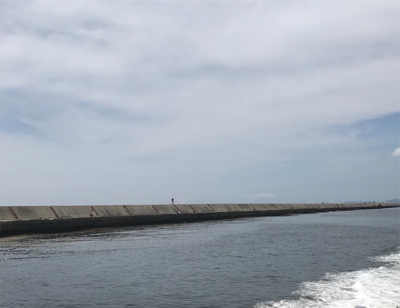 狙いは、はずれ。