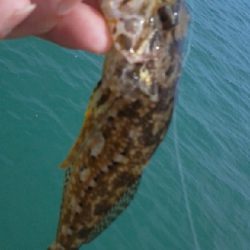 アナハゼの猛攻