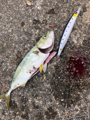 武庫一ではボウズなし