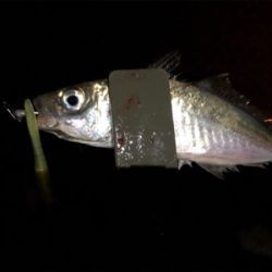 クーラー満タン