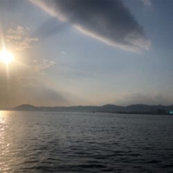 ただ巻き ツバス