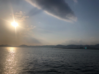 ただ巻き ツバス