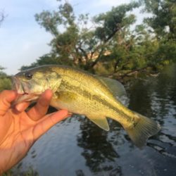 学校帰りの1時間