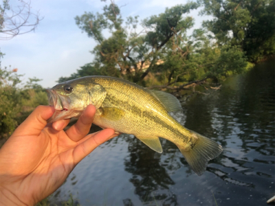 学校帰りの1時間