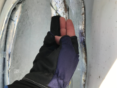 初タチウオです!